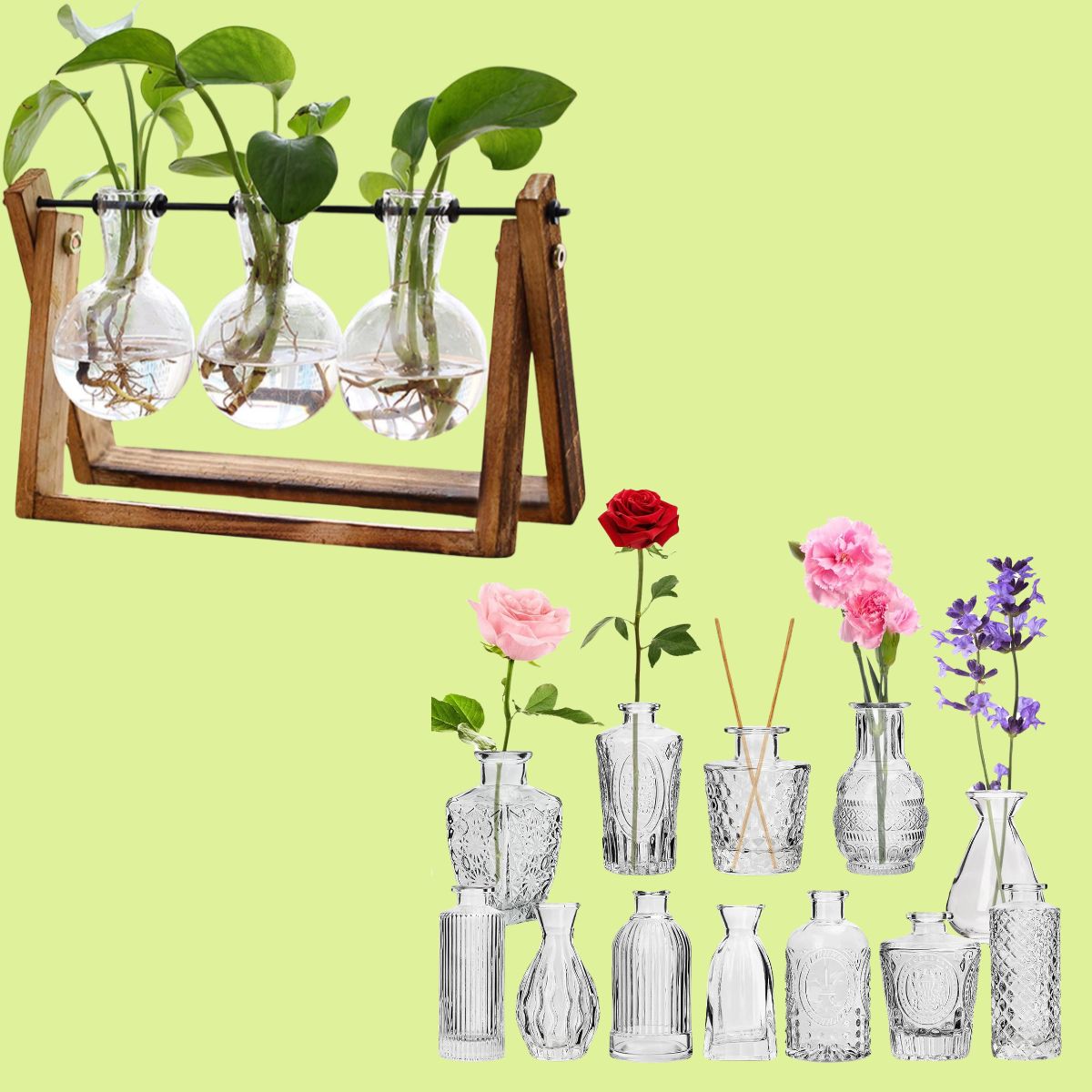 Plant Terrarium with Wooden Stand 9+ Set of 12 Small Clear Vases 9