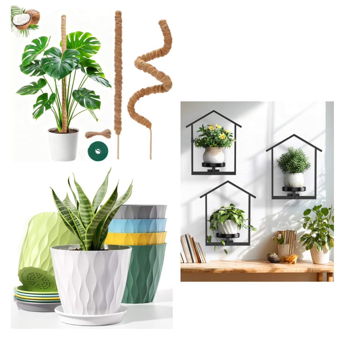 Moss Pole & Planters from $7 | Smart Savers