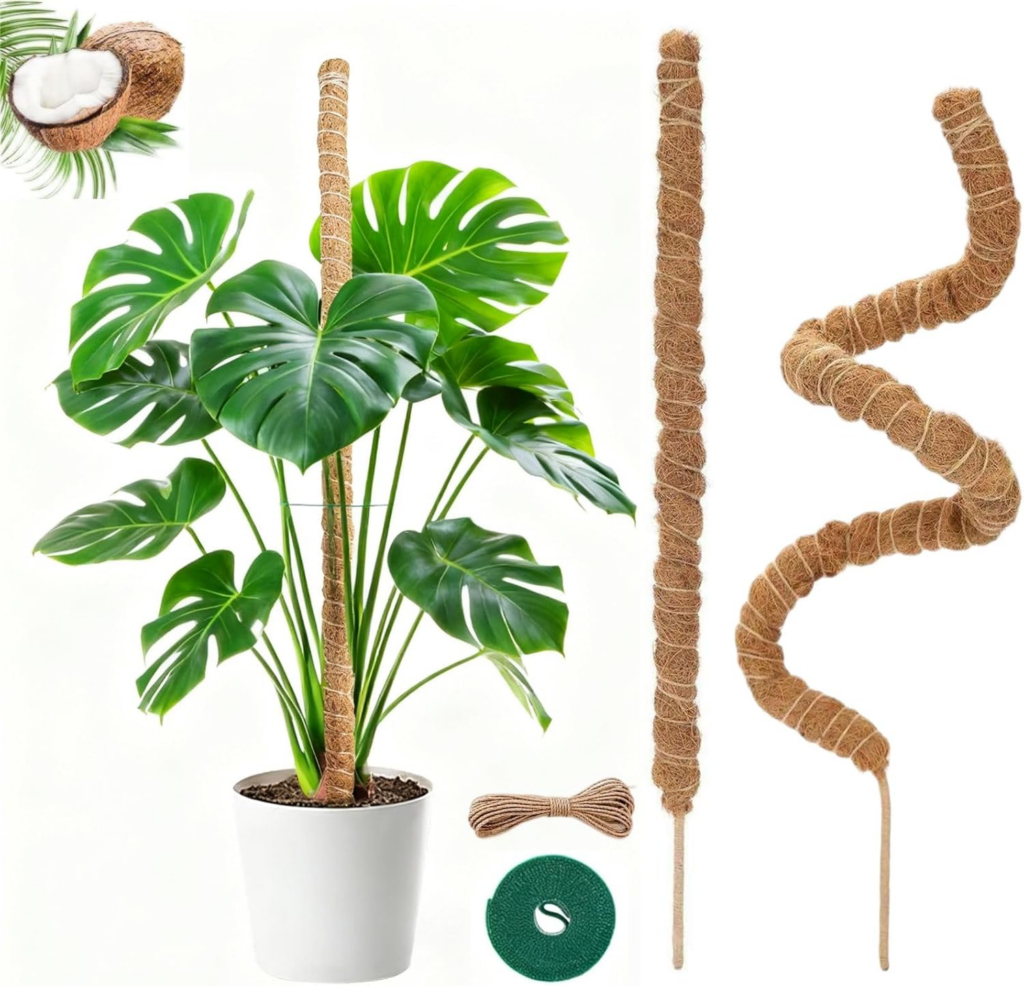 Moss Pole & Planters from $7 | Smart Savers